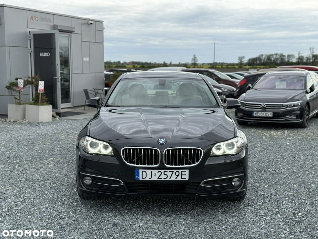 BMW Seria 5 520d xDrive Luxury Line - 2