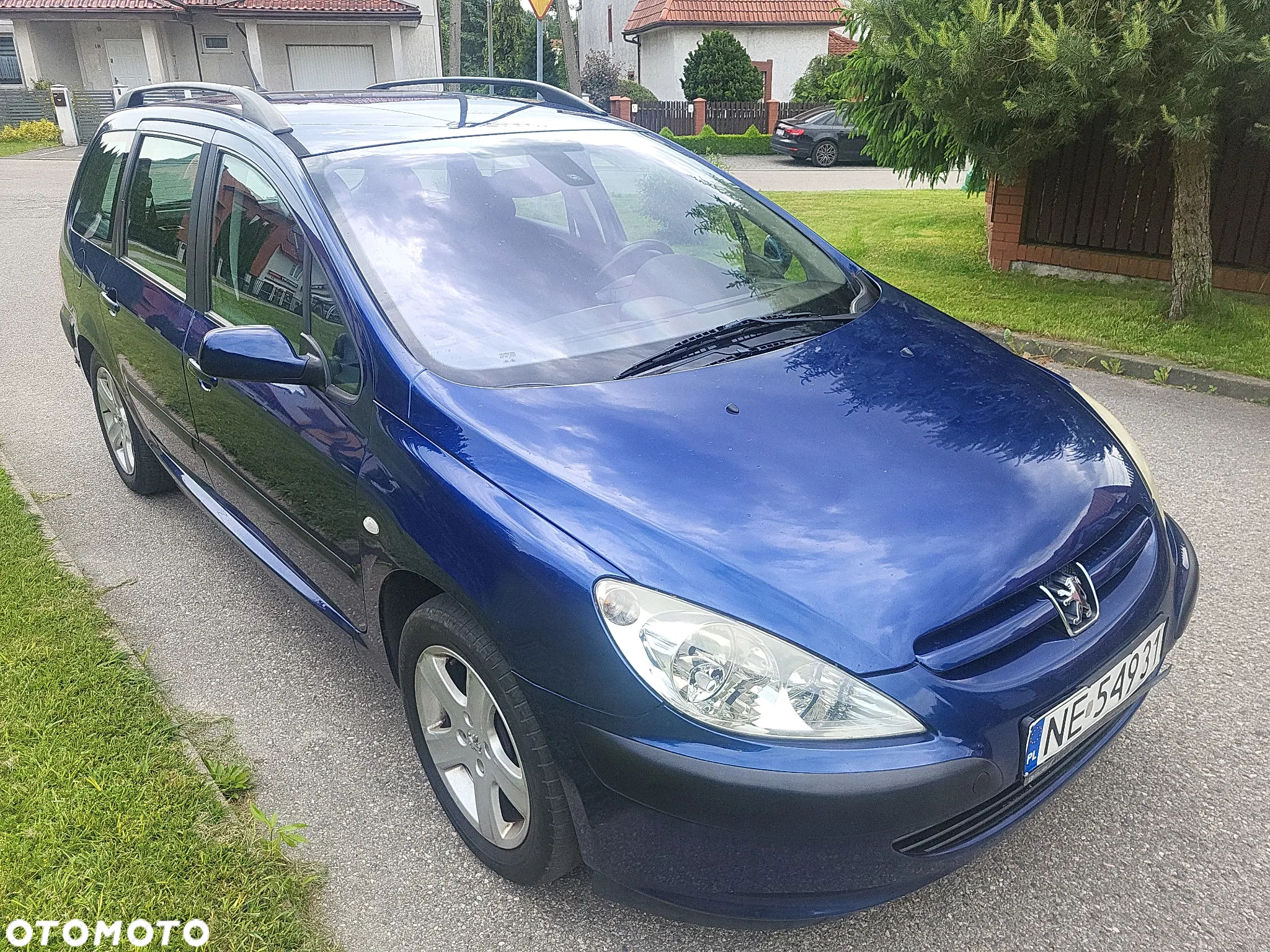 Peugeot 307 2.0 Mistral - 15