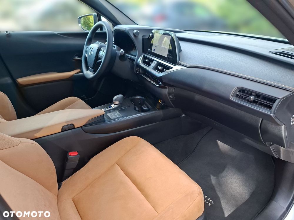 Lexus UX 300h Business - 17