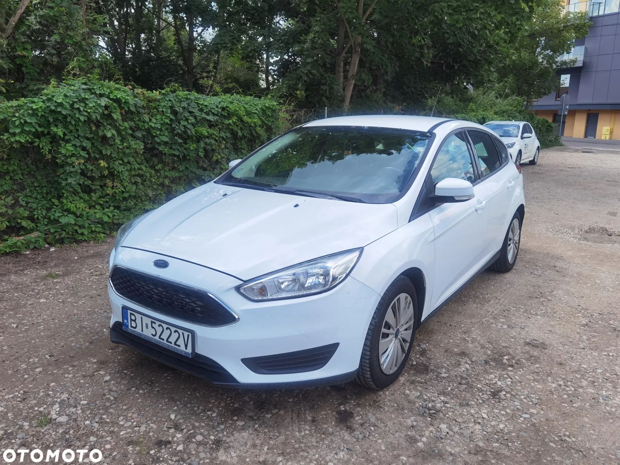 Ford Focus - 1