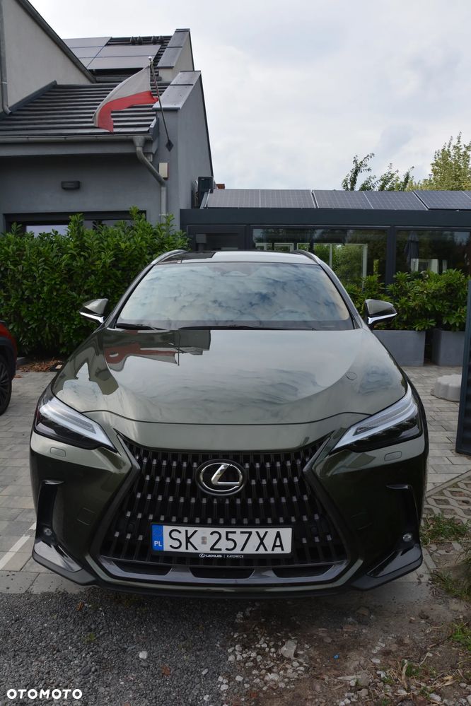 Lexus NX - 28