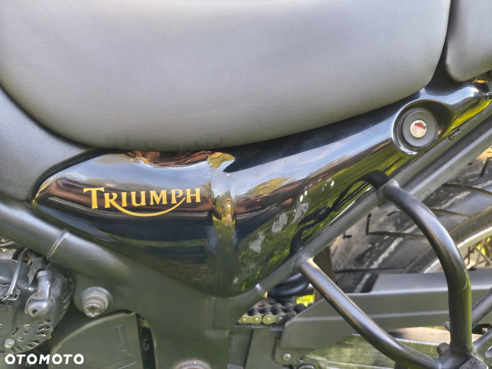 Triumph Tiger - 13
