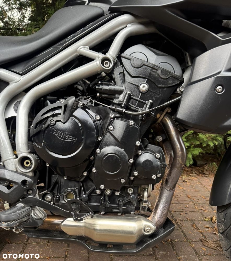 Triumph Tiger - 4