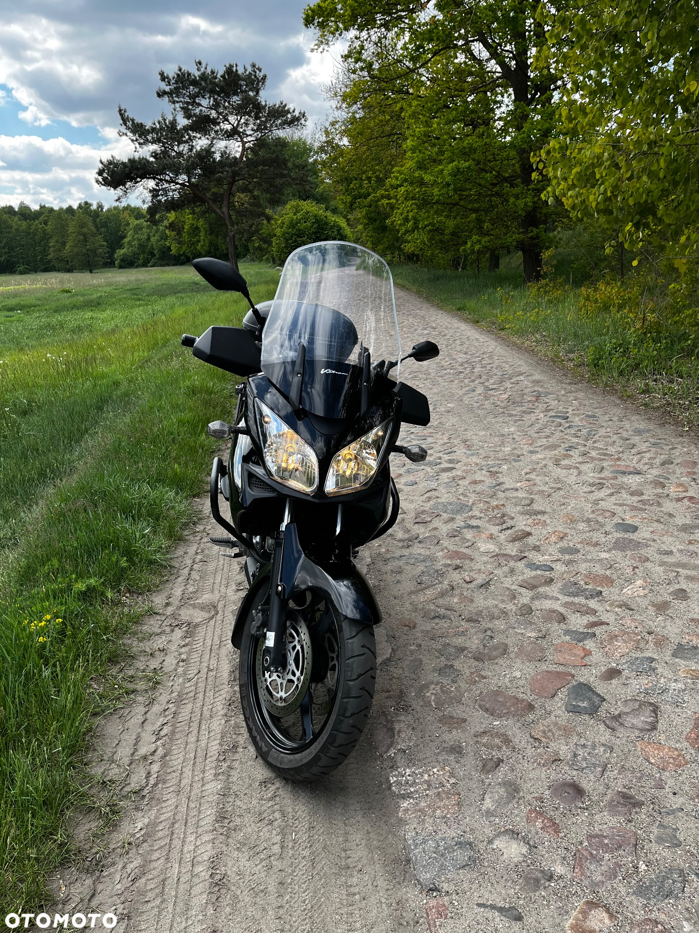 Suzuki DL - 7
