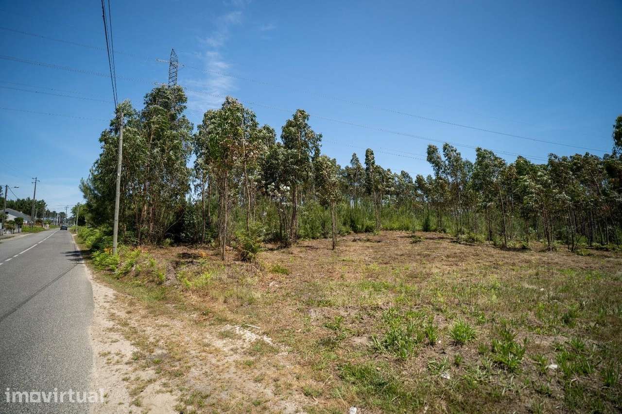 Oportunidade de Investimento em Terreno com 3524 m2 em Leiria - Grande imagem: 5/7