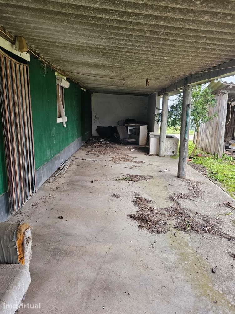 Quintinha 1350m2 - Almeirim - Fazendas de Almeirim - Grande imagem: 4/10