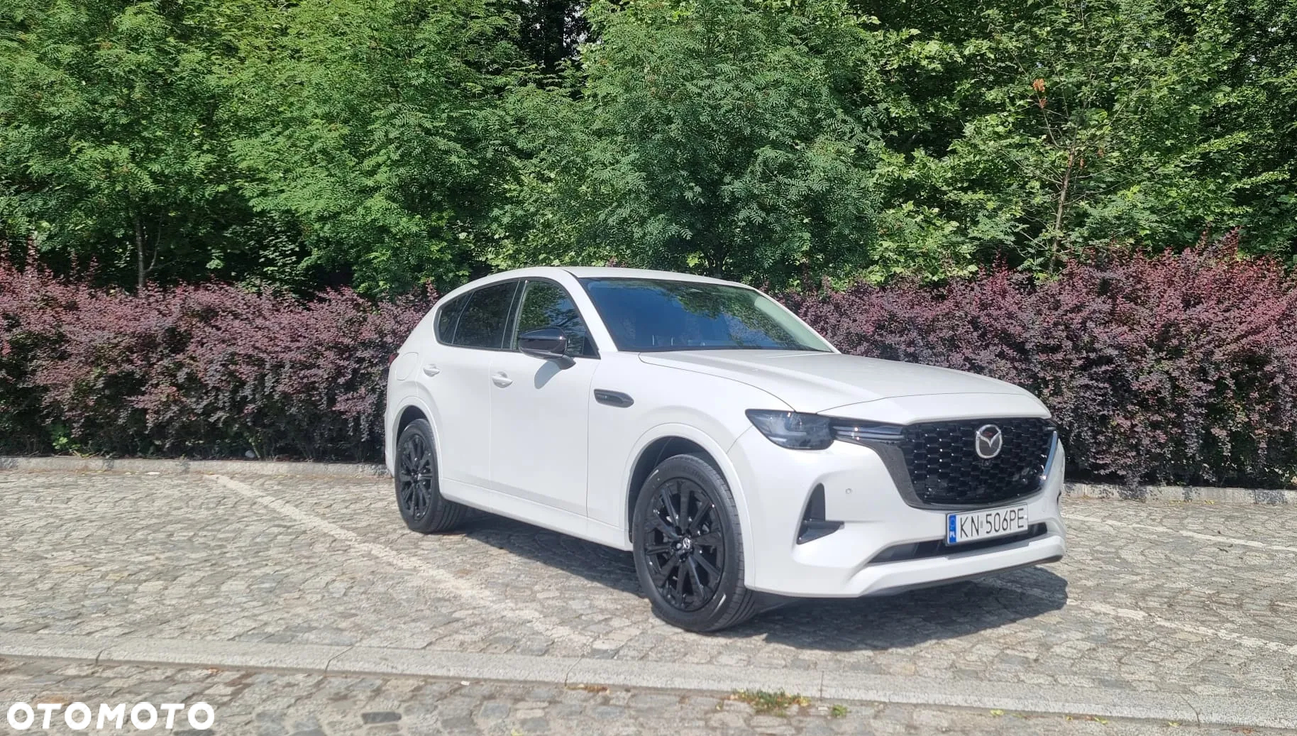 Mazda CX-60 2.5 PHEV Homura AWD - 7