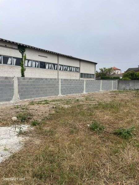 Terreno Urbano com duas frentes no Monte - Murtosa - Grande imagem: 5/11