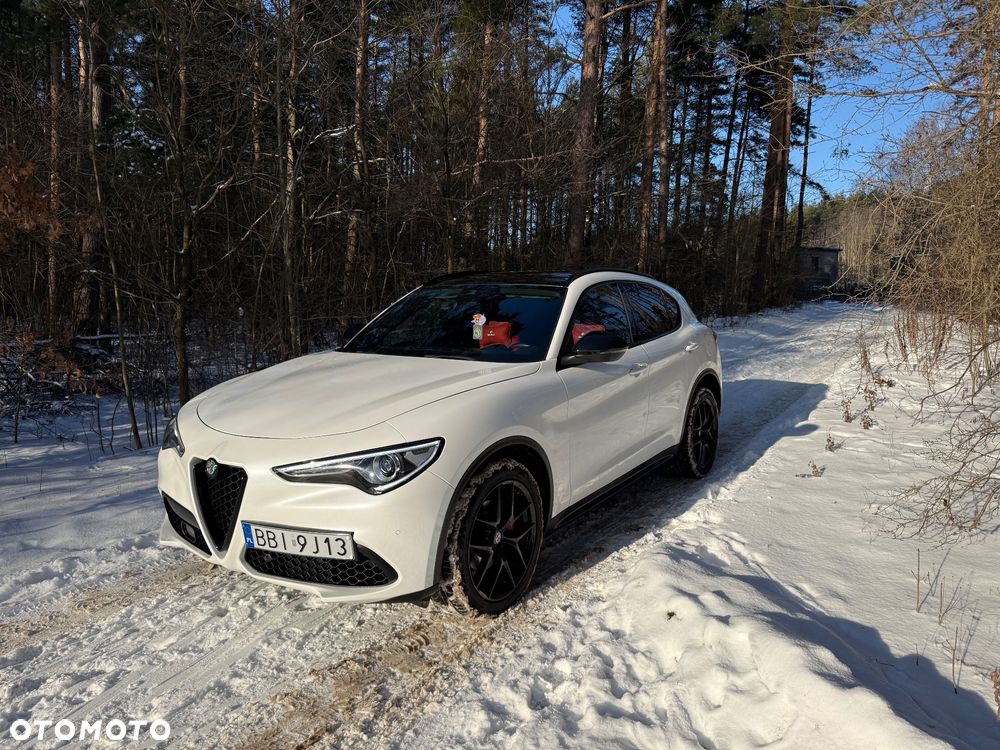 Alfa Romeo Stelvio 2.0 Turbo 16V AT8-Q4 Ti - 1