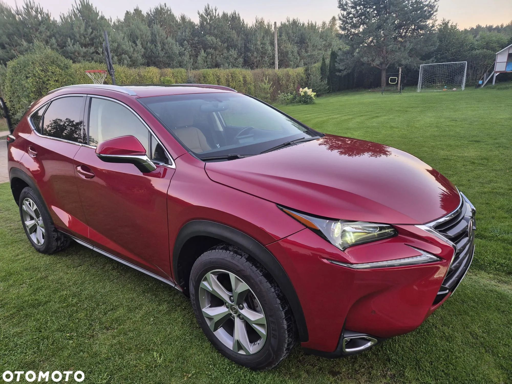 Lexus NX 200t Elite 2WD - 1