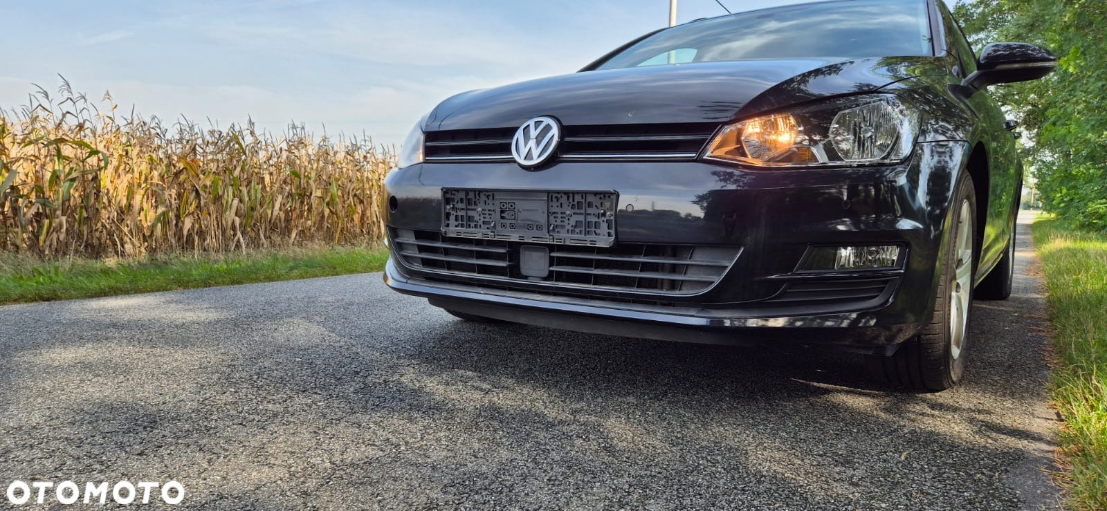 Volkswagen Golf - 4