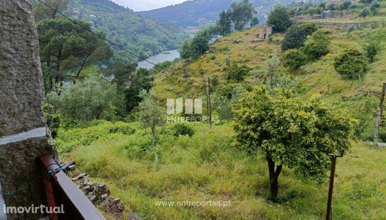 Venda de Quintinha, São Lourenço do Douro Marco de Canaveses - Grande imagem: 3/40