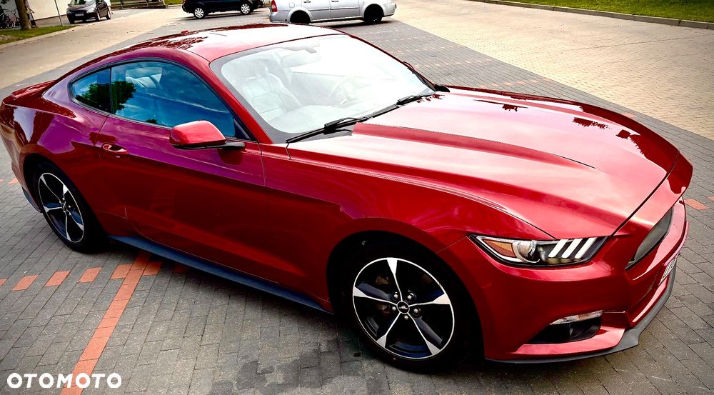 Ford Mustang - 12