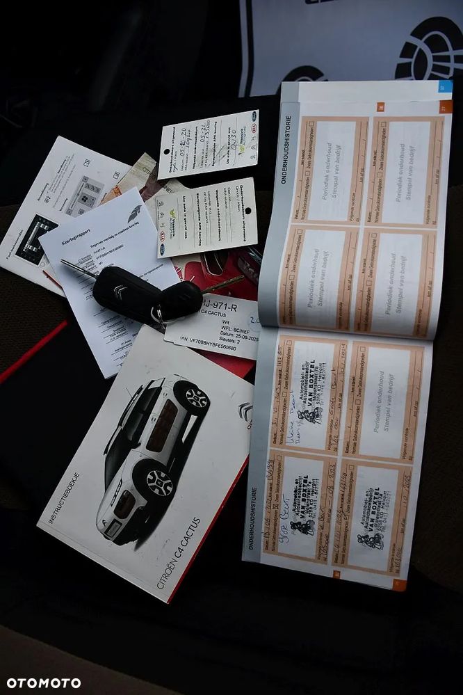 Citroën C4 Cactus 1.6 Blue HDi Shine Edition - 34