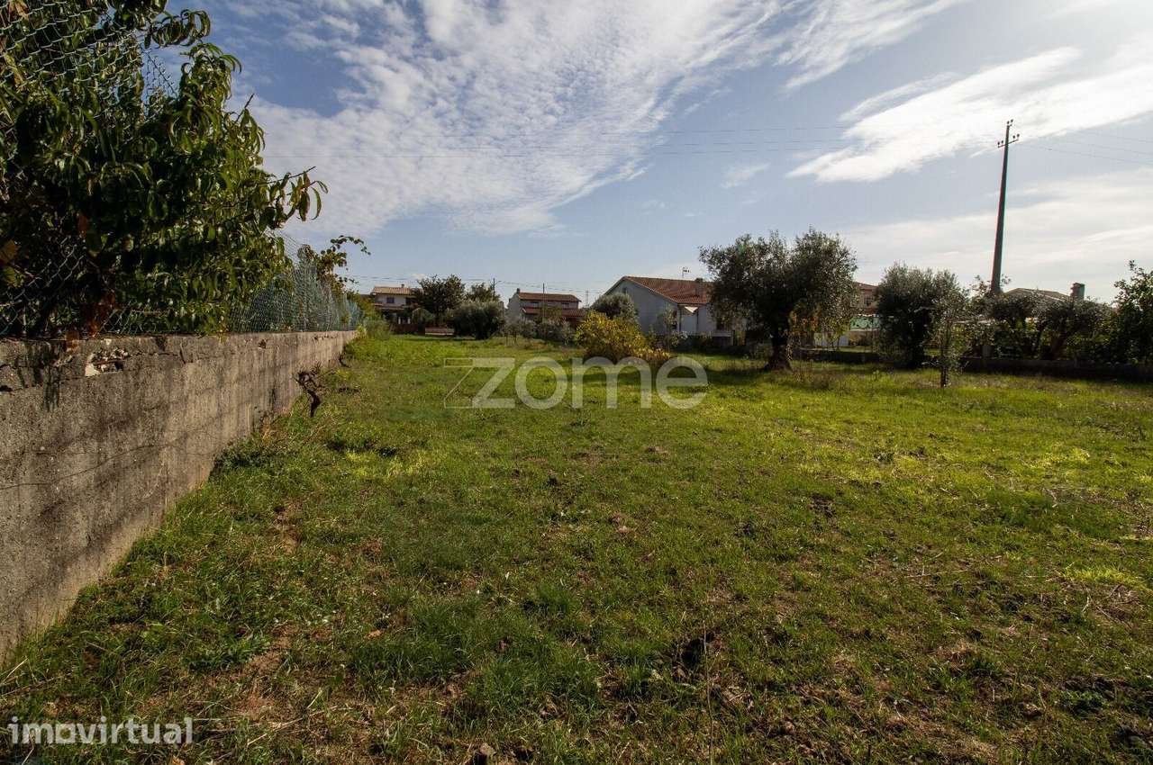 Terreno com 1110 m2 em Fornos de Cadima - Grande imagem: 2/34