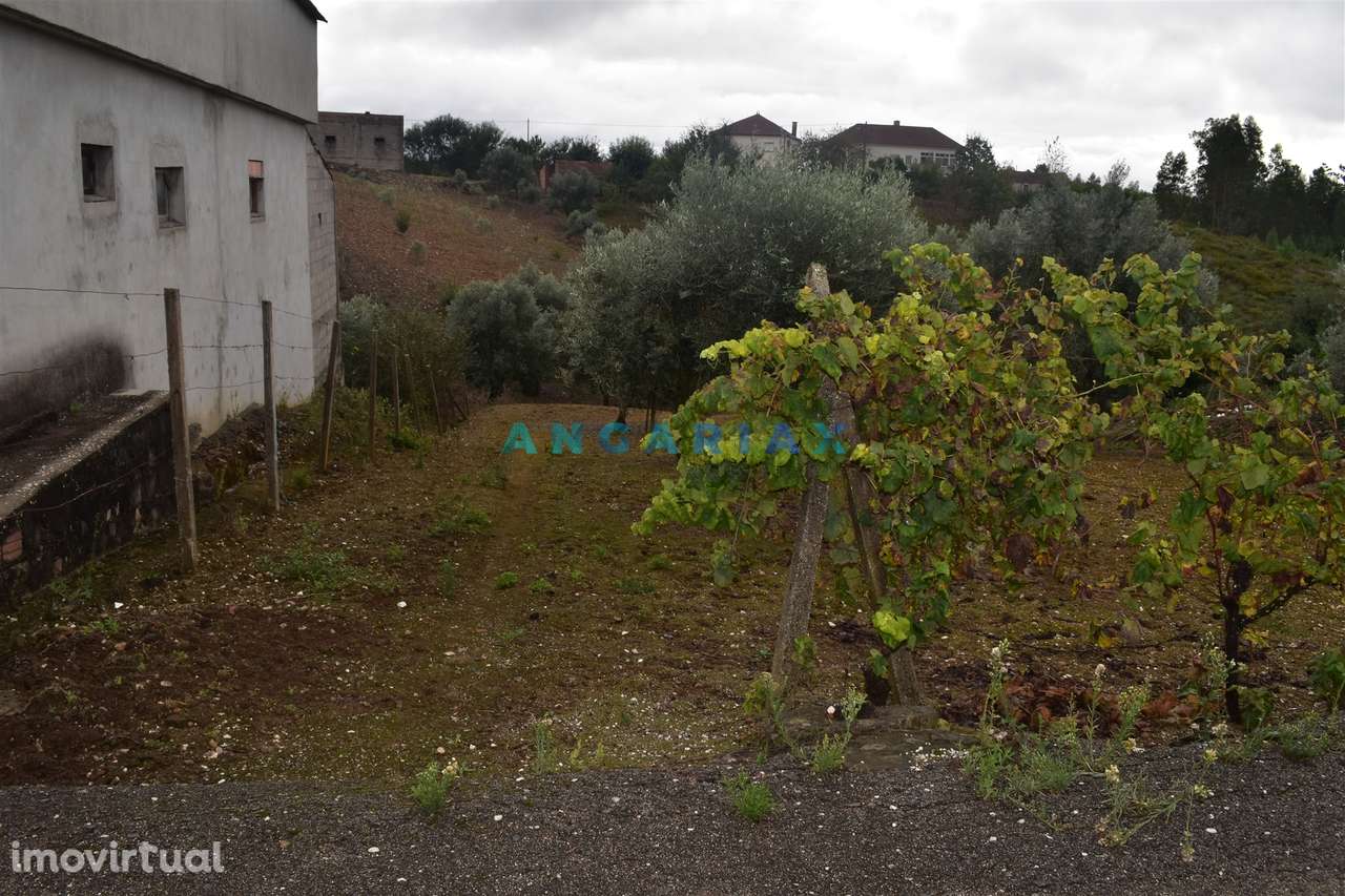 ANG1220 - Terreno para Venda em Atalaia, Pedrógão Grande - Grande imagem: 2/9
