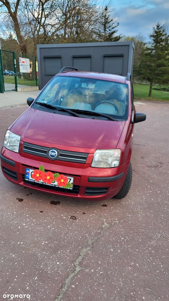 Fiat Panda - 2