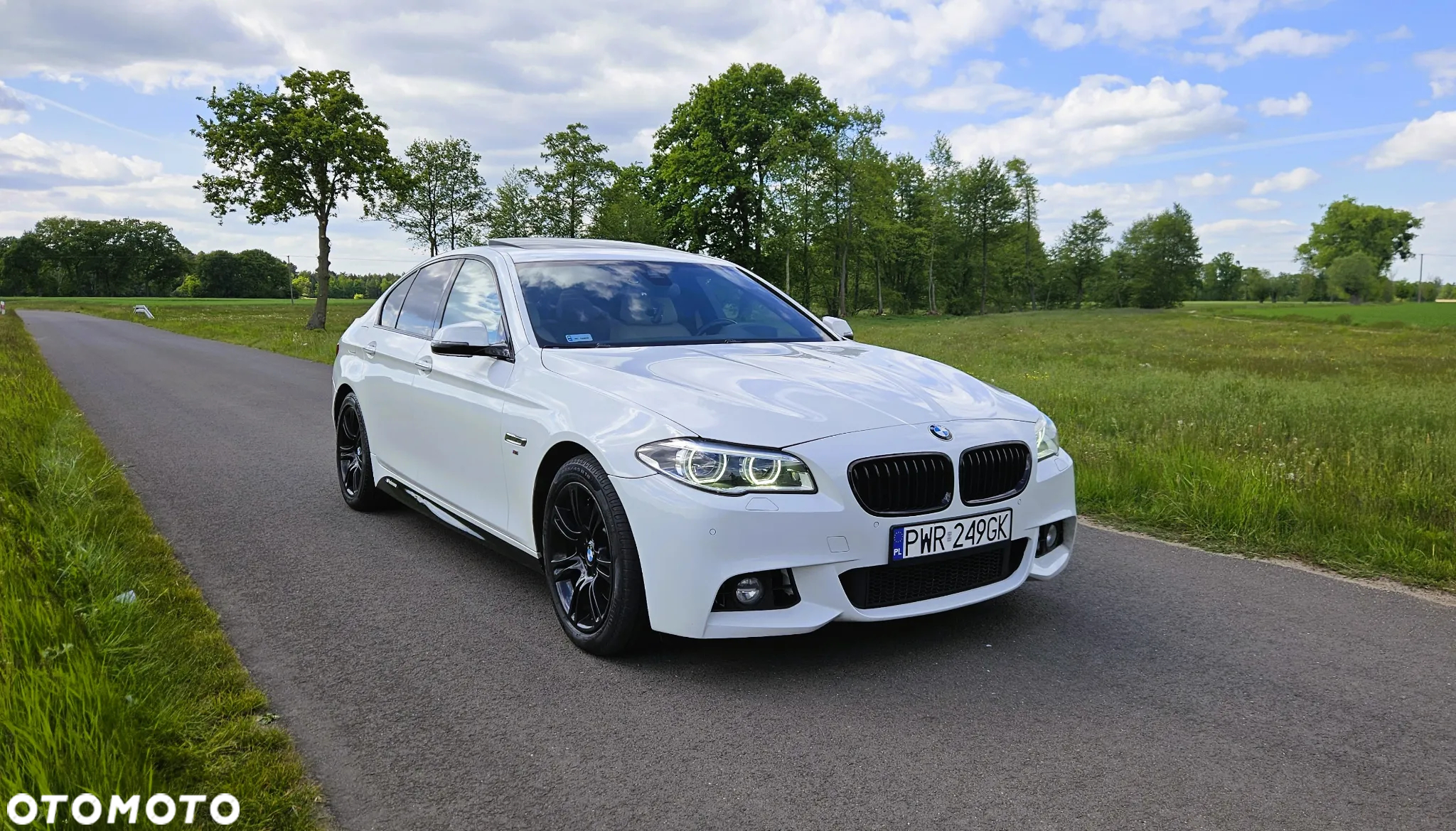 BMW Seria 5 530d xDrive - 3