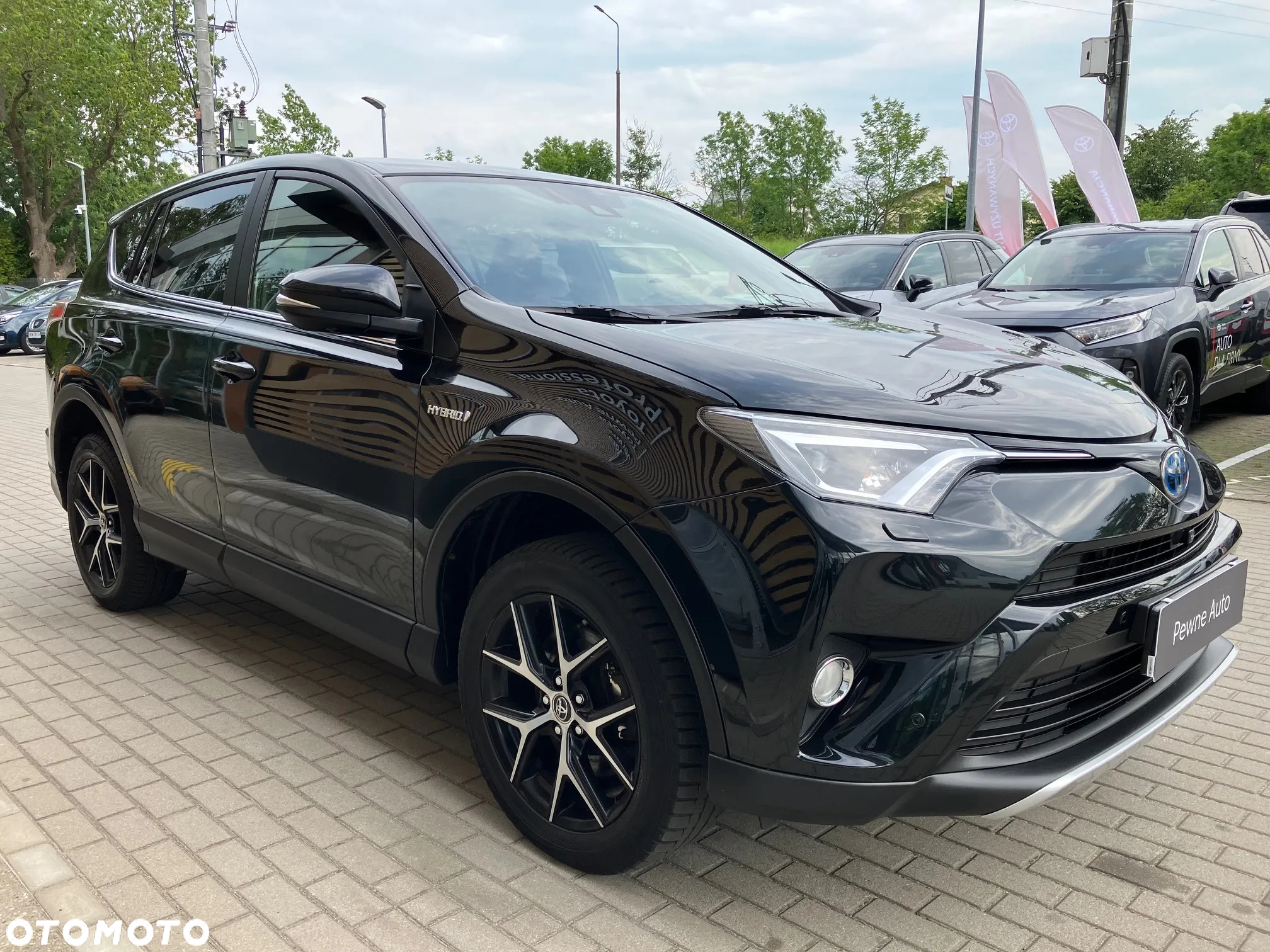 Toyota RAV4 Hybrid Prestige 4x2 - 12