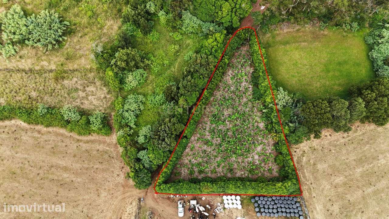 Terreno com Pomar em Vila de São Sebastião - Grande imagem: 3/9