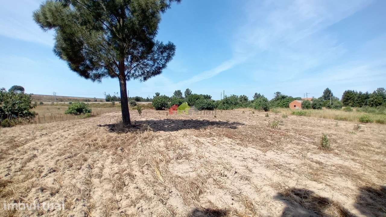 Terreno com 9750 m2 com autorização para 500 m2 de construção em Palme - Grande imagem: 5/9