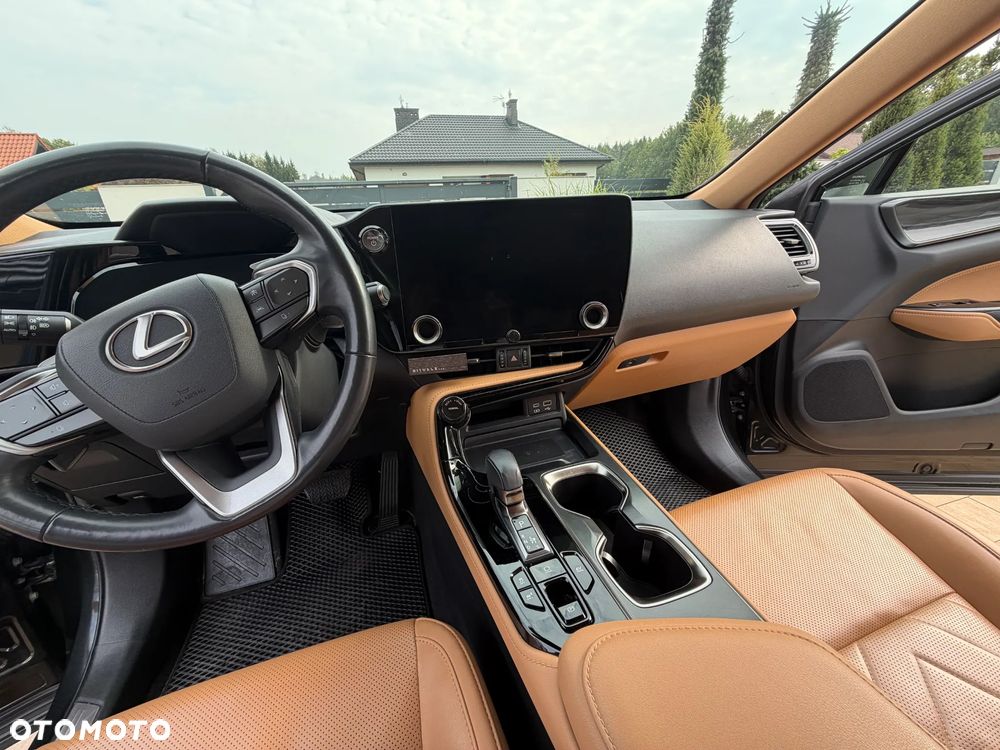 Lexus NX - 17