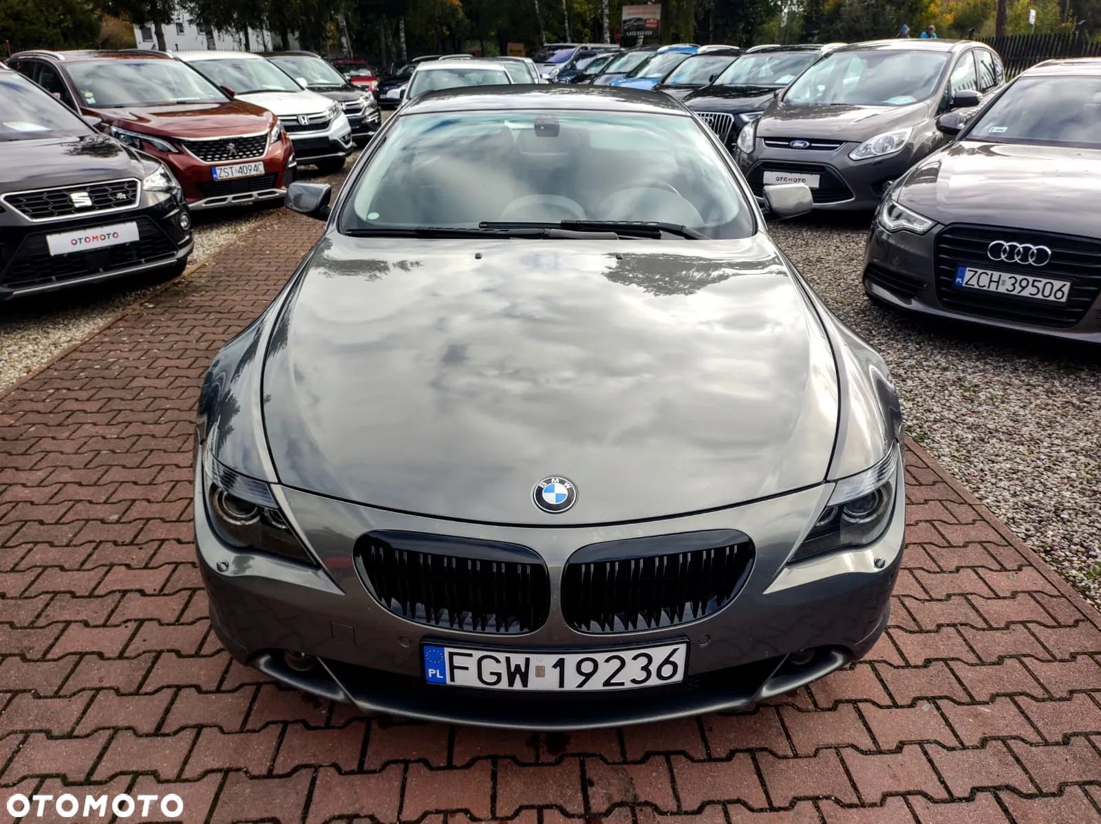 BMW Seria 6 645 Ci - 11