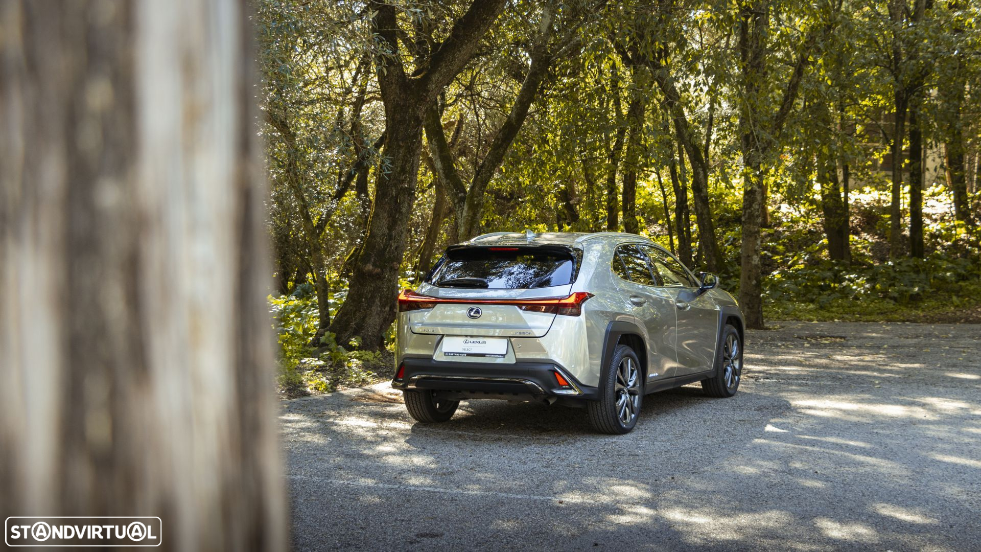 Lexus UX 250h F Sport - 16