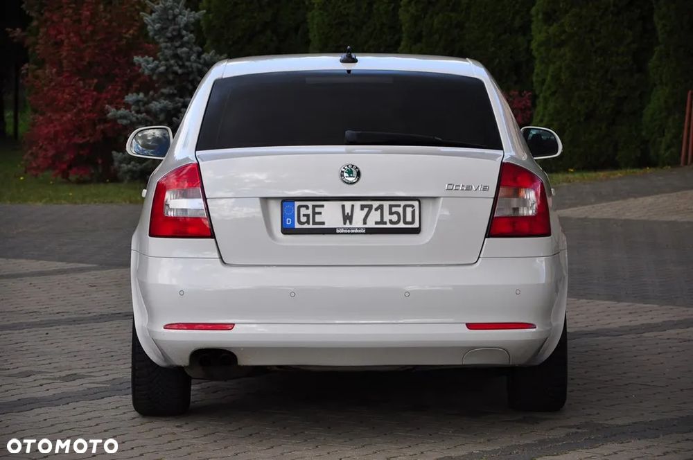 Skoda Octavia 1.4 TSI FAMILY - 14
