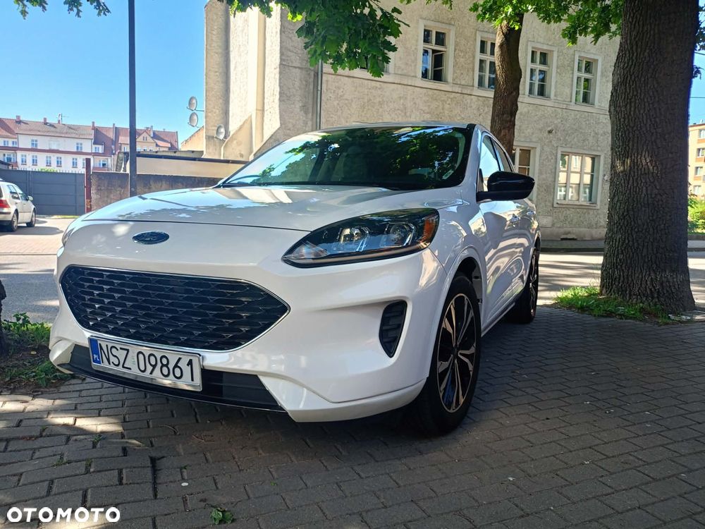 Ford Escape - 7