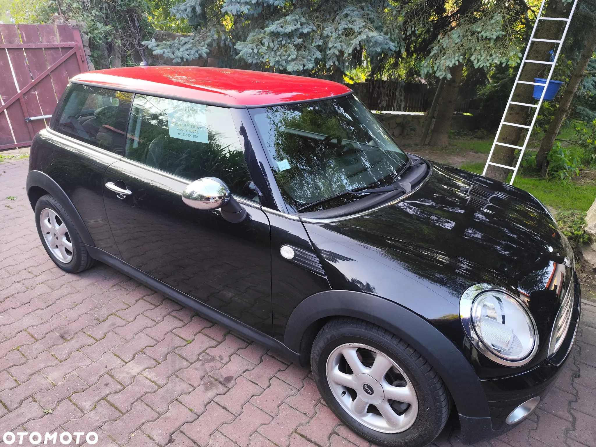 MINI ONE Standard - 7