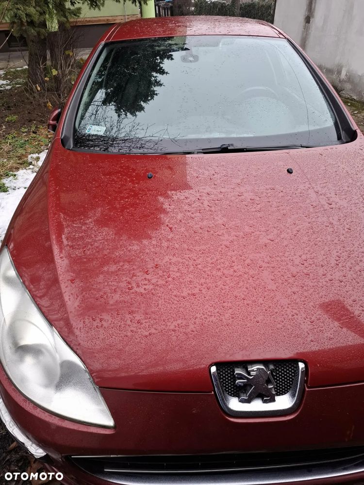 Peugeot 407 HDi 135 Esplanade - 2