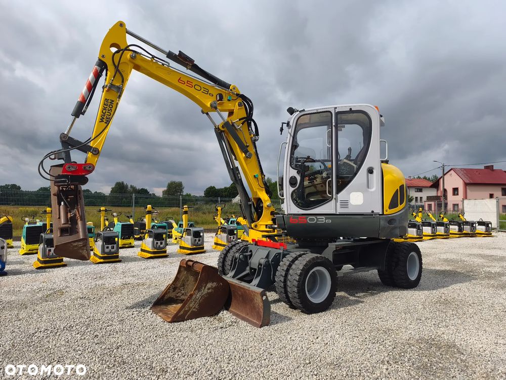 Wacker Neuson 6503 - 1