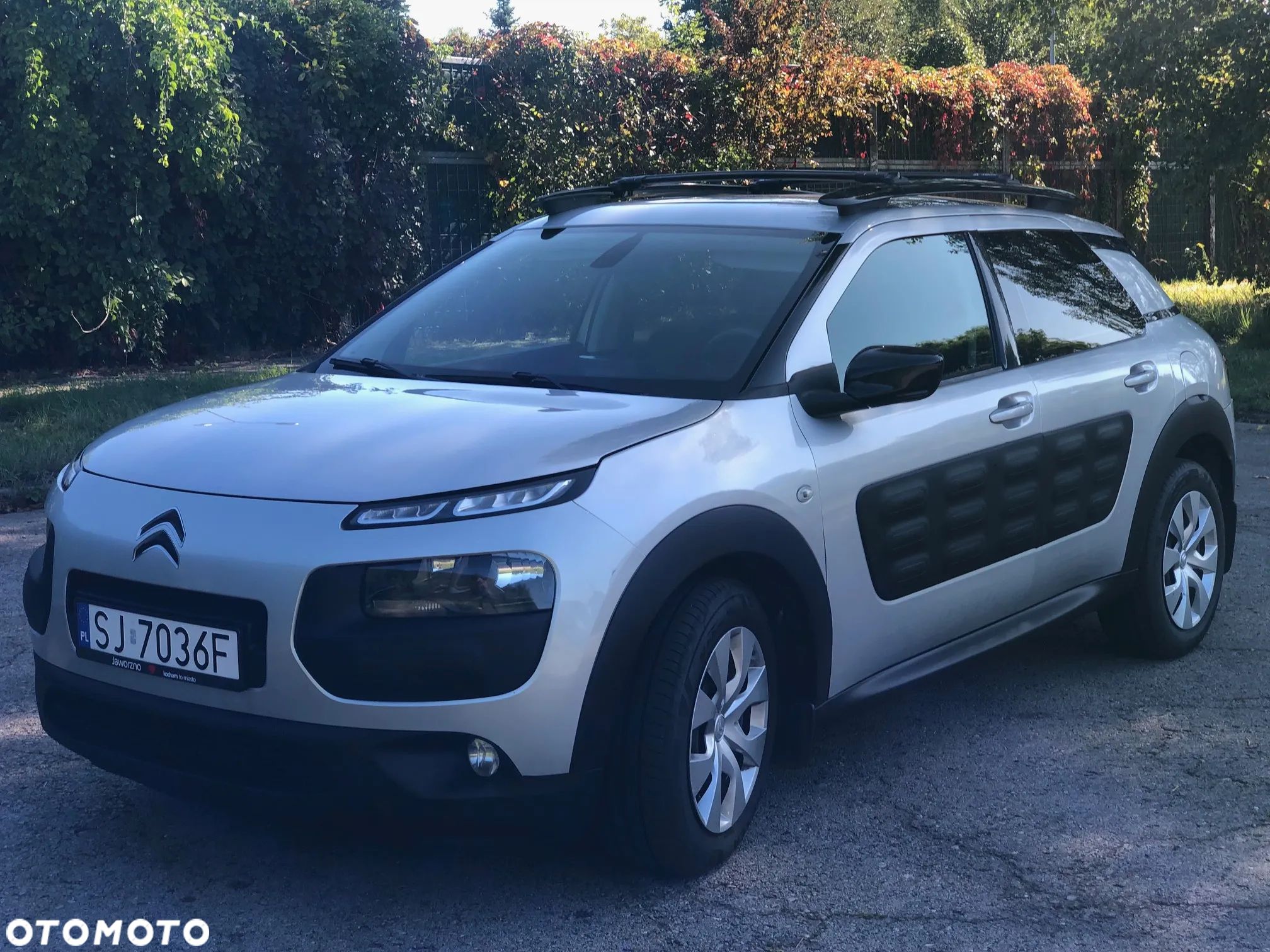 Citroën C4 Cactus BlueHDi 100 ETG6 Stop&Start Shine - 1