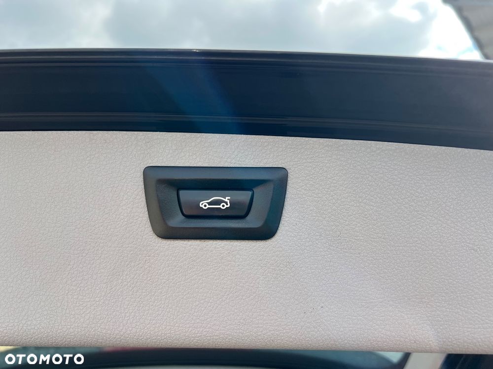 BMW Seria 3 318d Blue Performance Luxury Line - 20