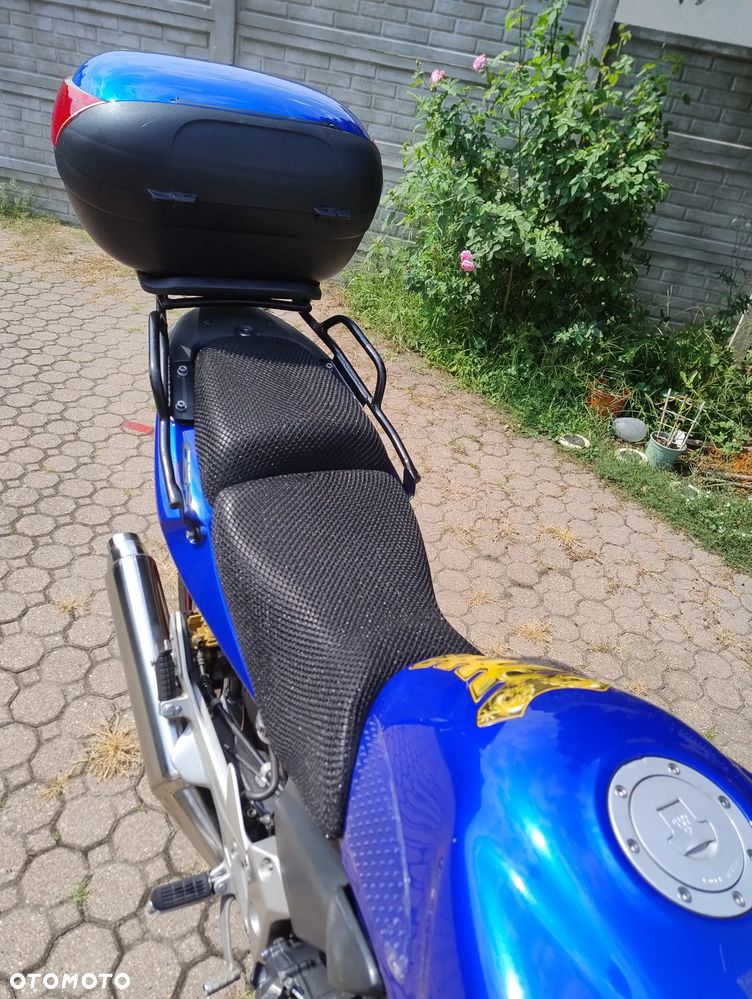 Honda CBF - 5