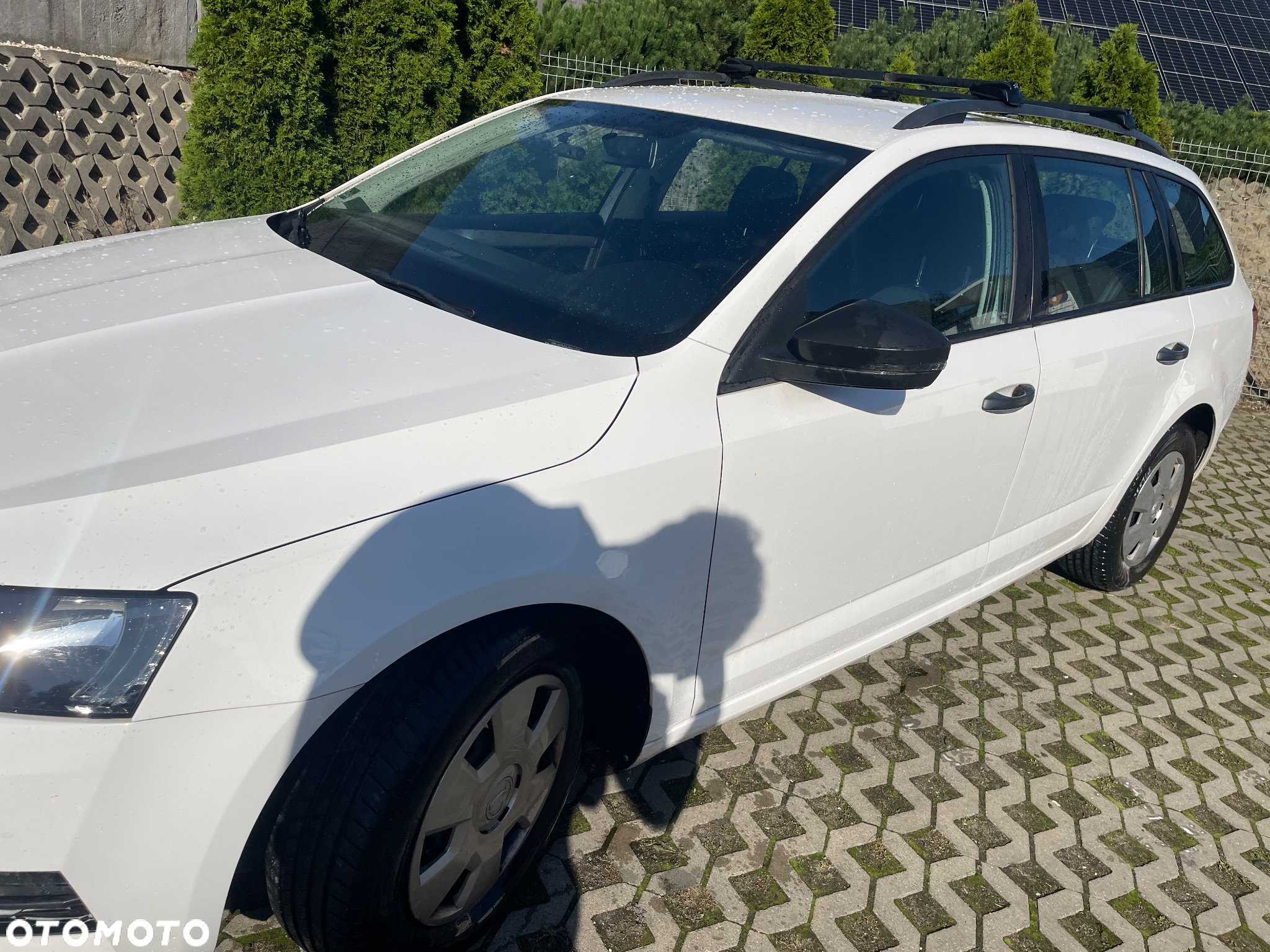 Skoda Octavia 1.6 TDI Active - 2