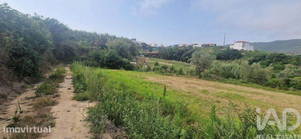 Terreno Agrícola em Azueira e Sobral da Abelheira - Grande imagem: 3/40