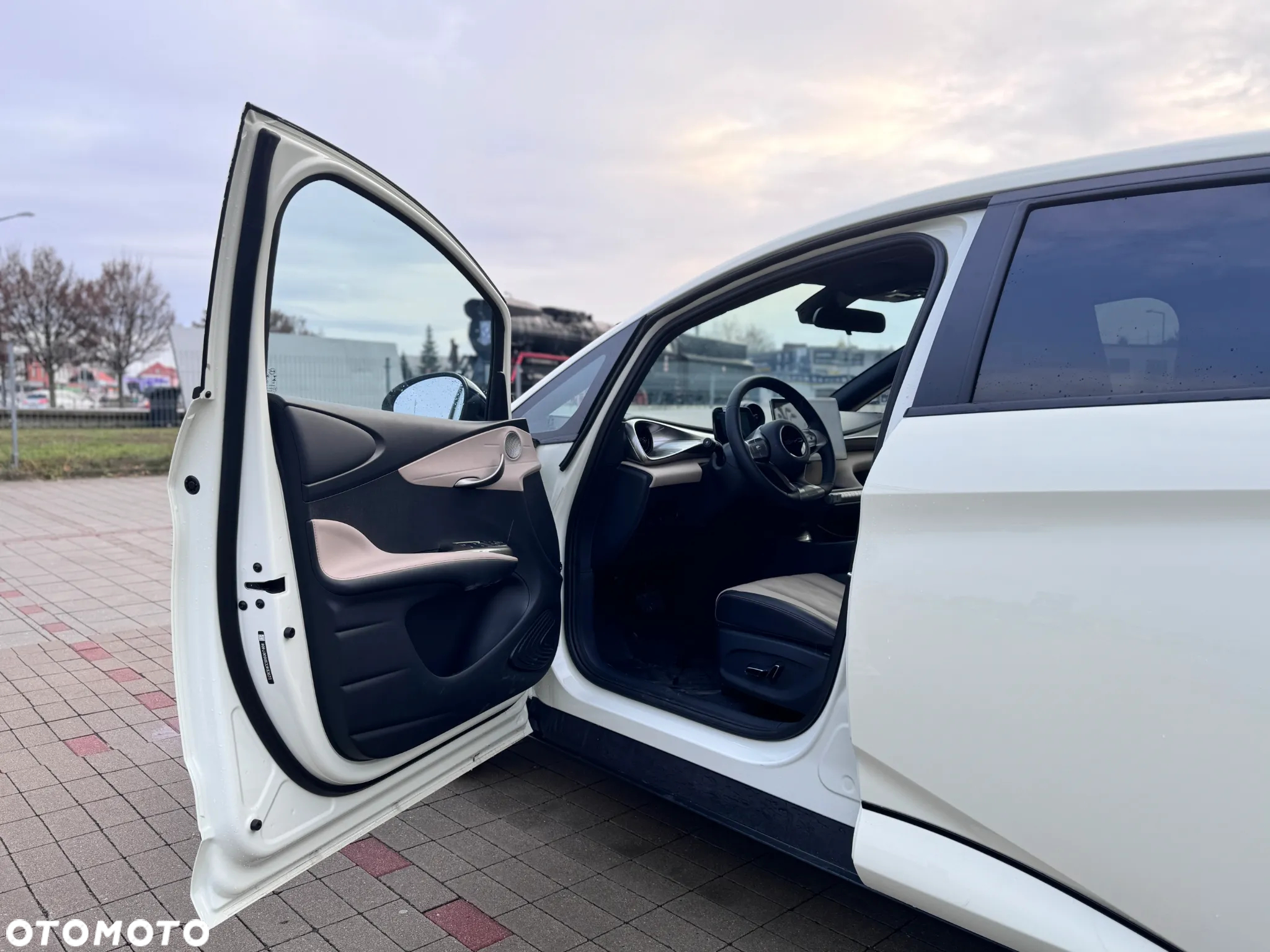 BYD Dolphin Comfort - 6