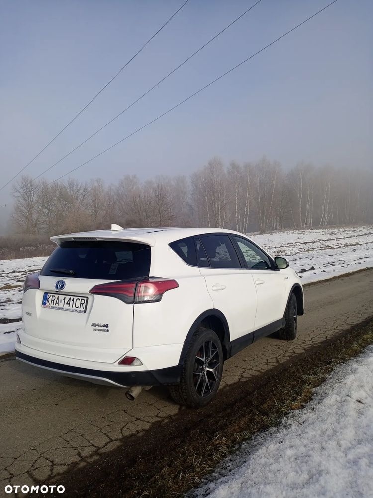 Toyota RAV4 2.5 Hybrid Executive 4x2 - 7