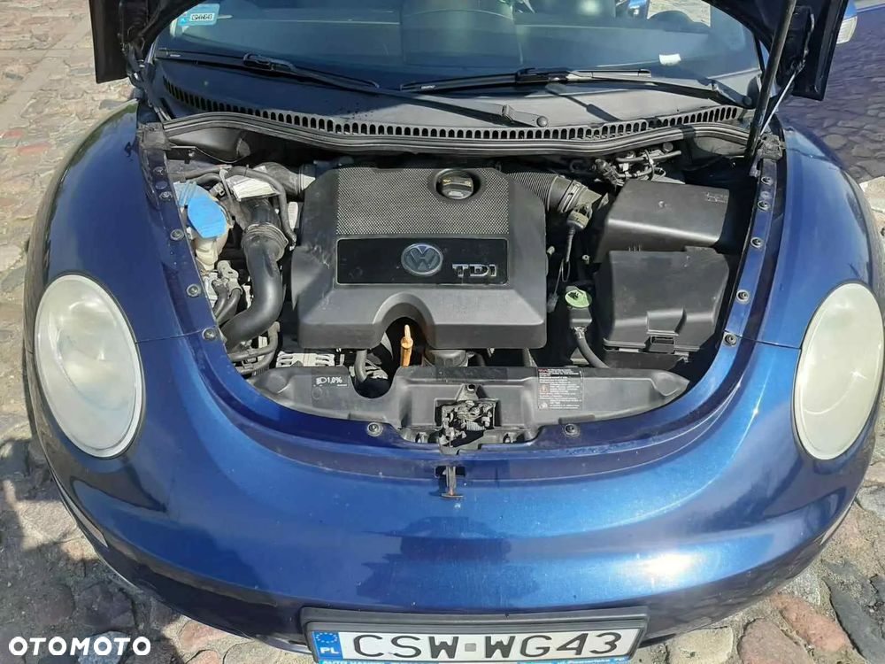 Volkswagen Beetle - 5