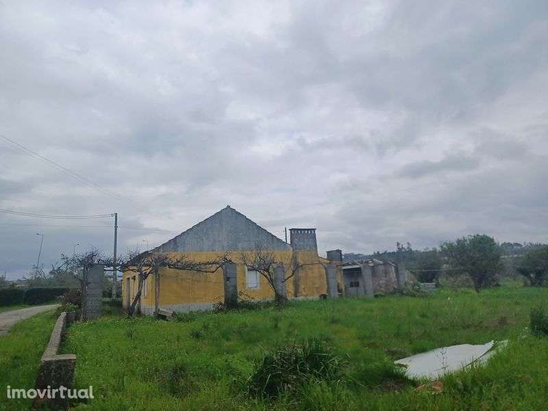 Vende-se 3 terrenos com casa e posibilidade de contricão - Grande imagem: 5/5