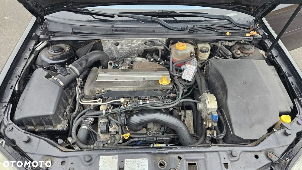 Opel Signum - 20