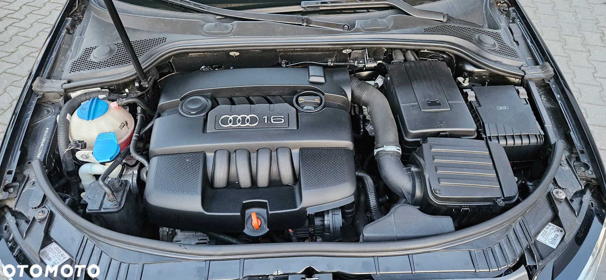 Audi A3 1.6 Sportback Attraction - 8