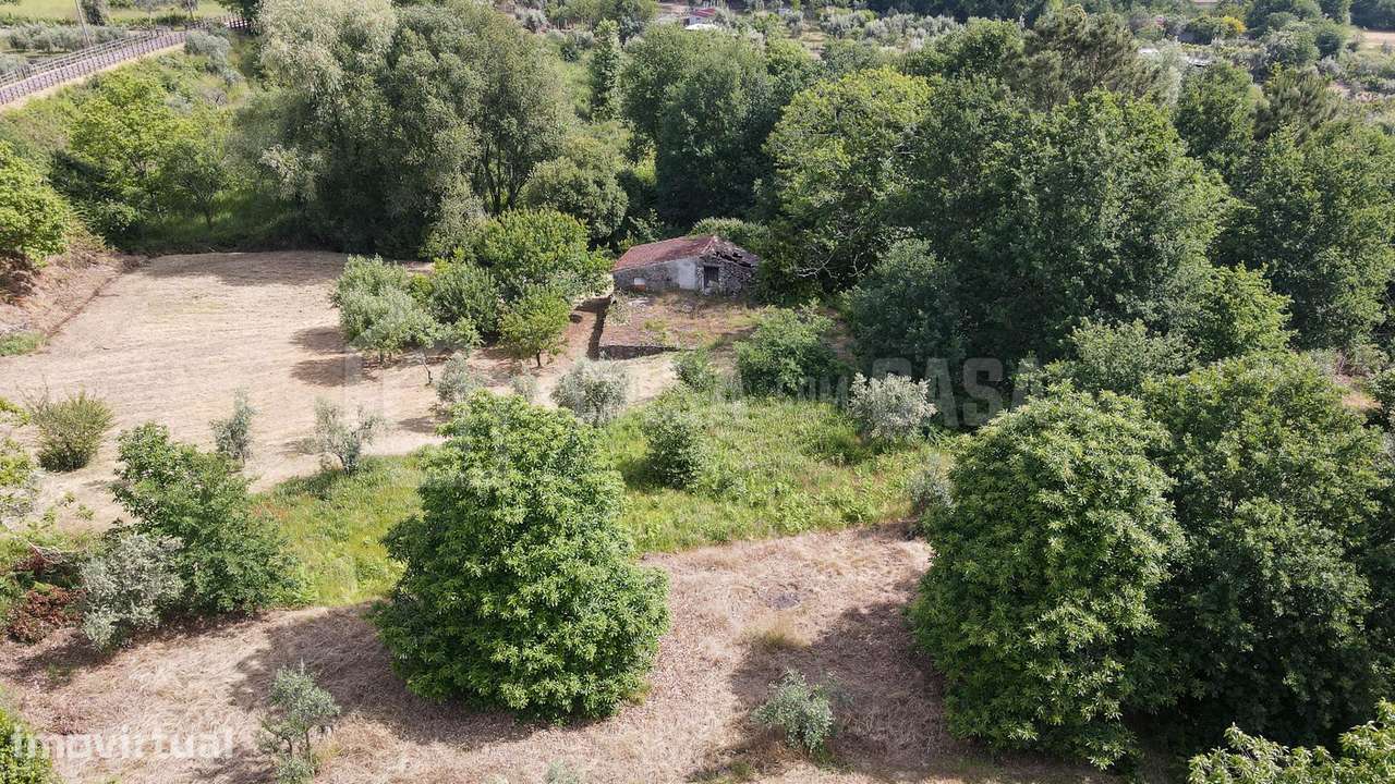 Terreno Agrícola em Canelas - Grande imagem: 3/11