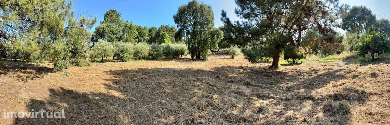 Terreno 2700 m2 - Mourões, Leiria - Grande imagem: 2/13