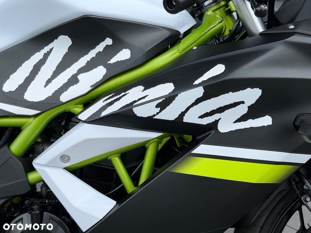 Kawasaki Ninja - 17