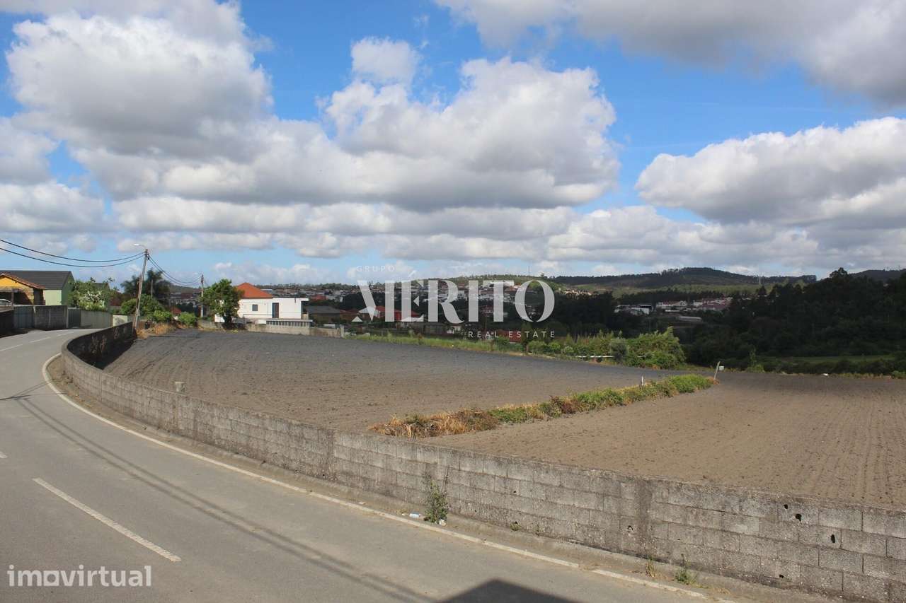 Venda Terreno 7000m2 - Ribeirão, Vila Nova de Famalicão - Grande imagem: 4/15