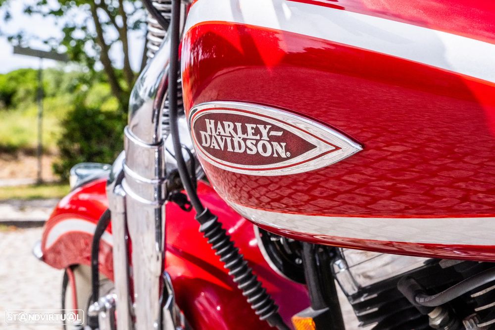 Harley-Davidson FLSTS Heritage Springer (Old Boy - Motor Evolution) - 7