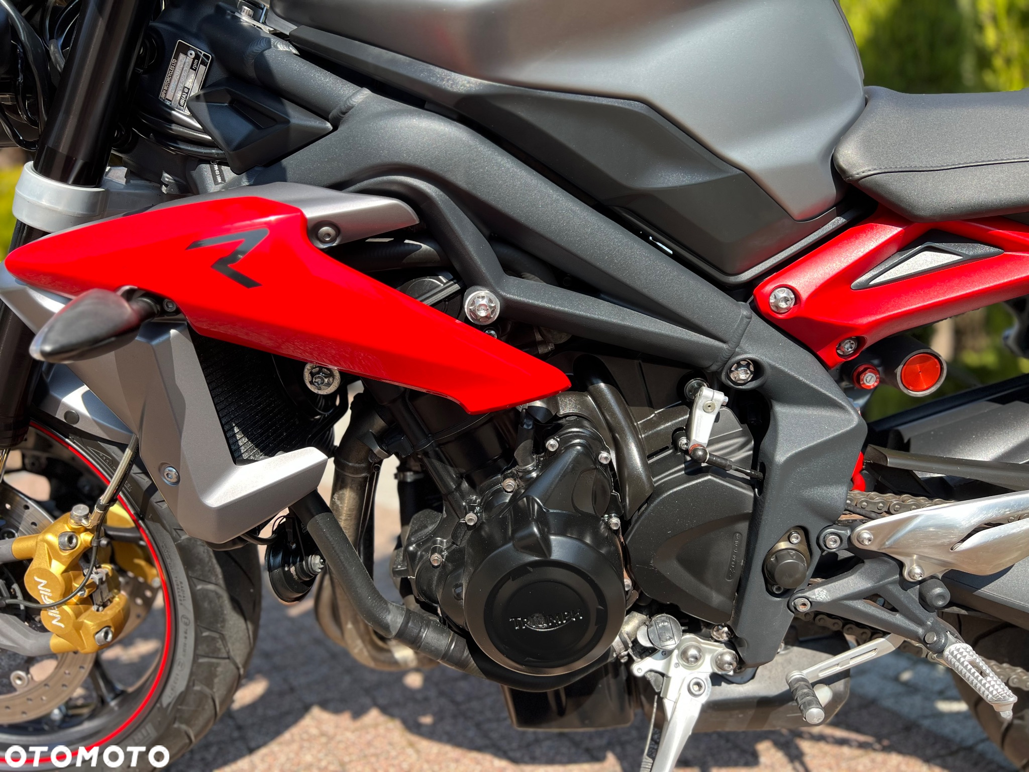 Triumph Street Triple - 25